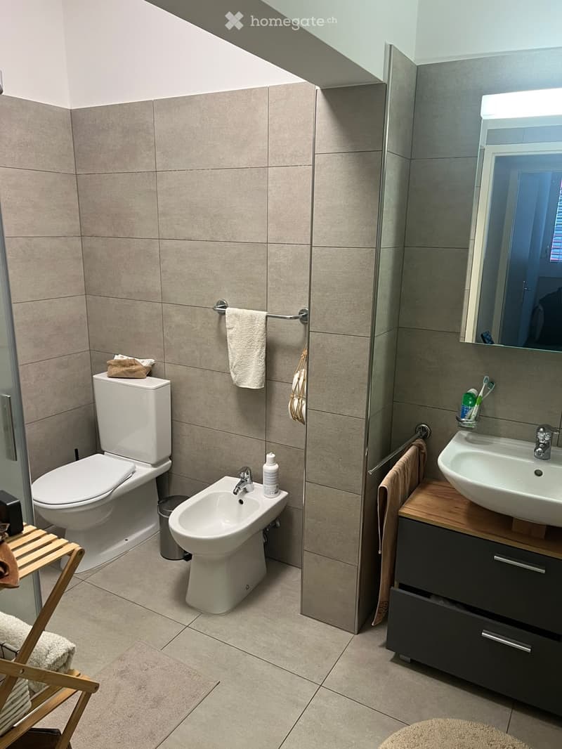Appartamento 2 piano con terrazzo - chiasso (4)