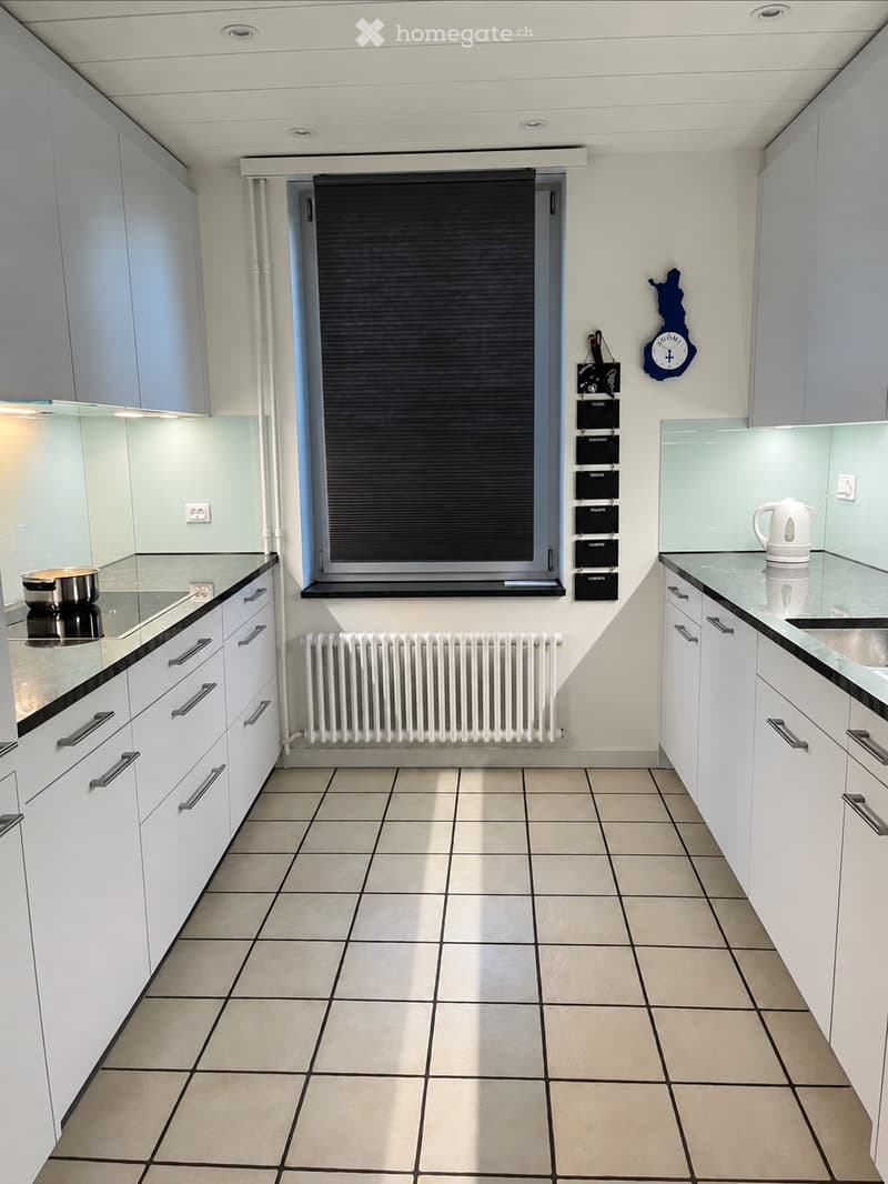 4½-Zimmer-Wohnung mit Garten, Terrasse und Aareblick (2)