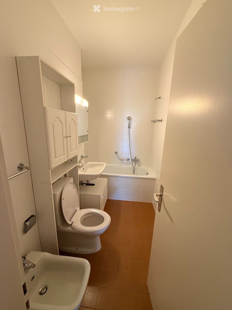 Ampio 2.5 locali con terrazza Vista Lago e Posteggio Incluso (9)
