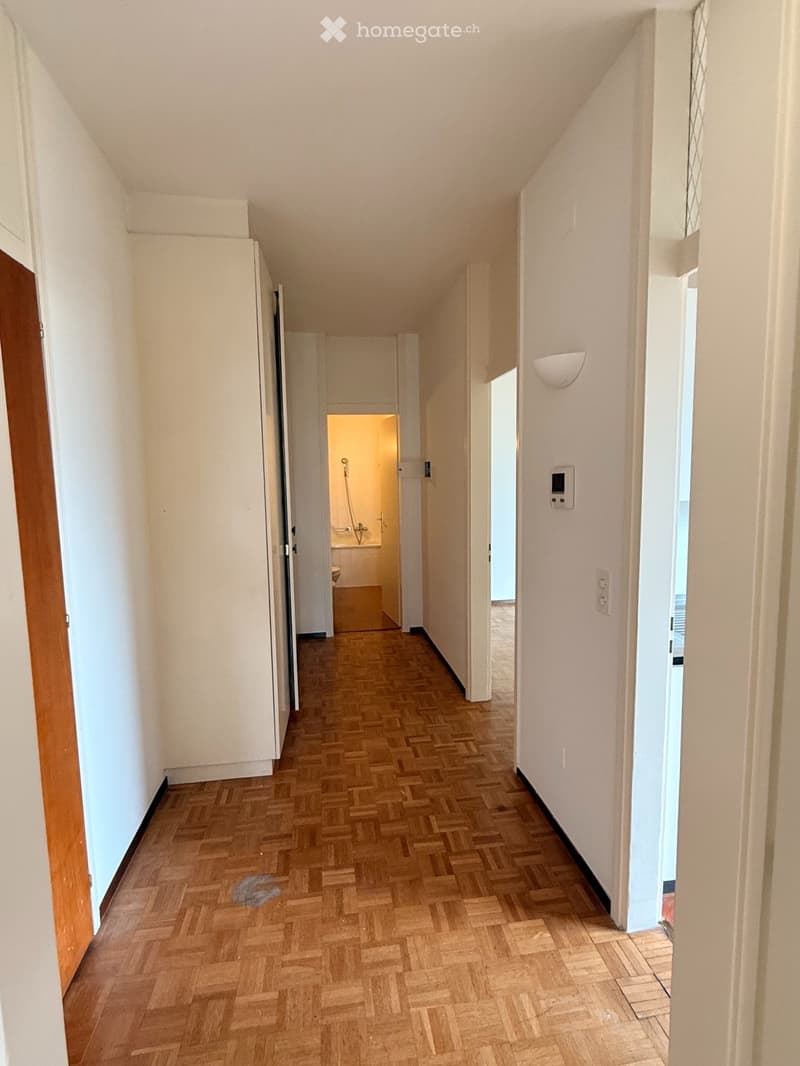 Ampio 2.5 locali con terrazza Vista Lago e Posteggio Incluso (6)
