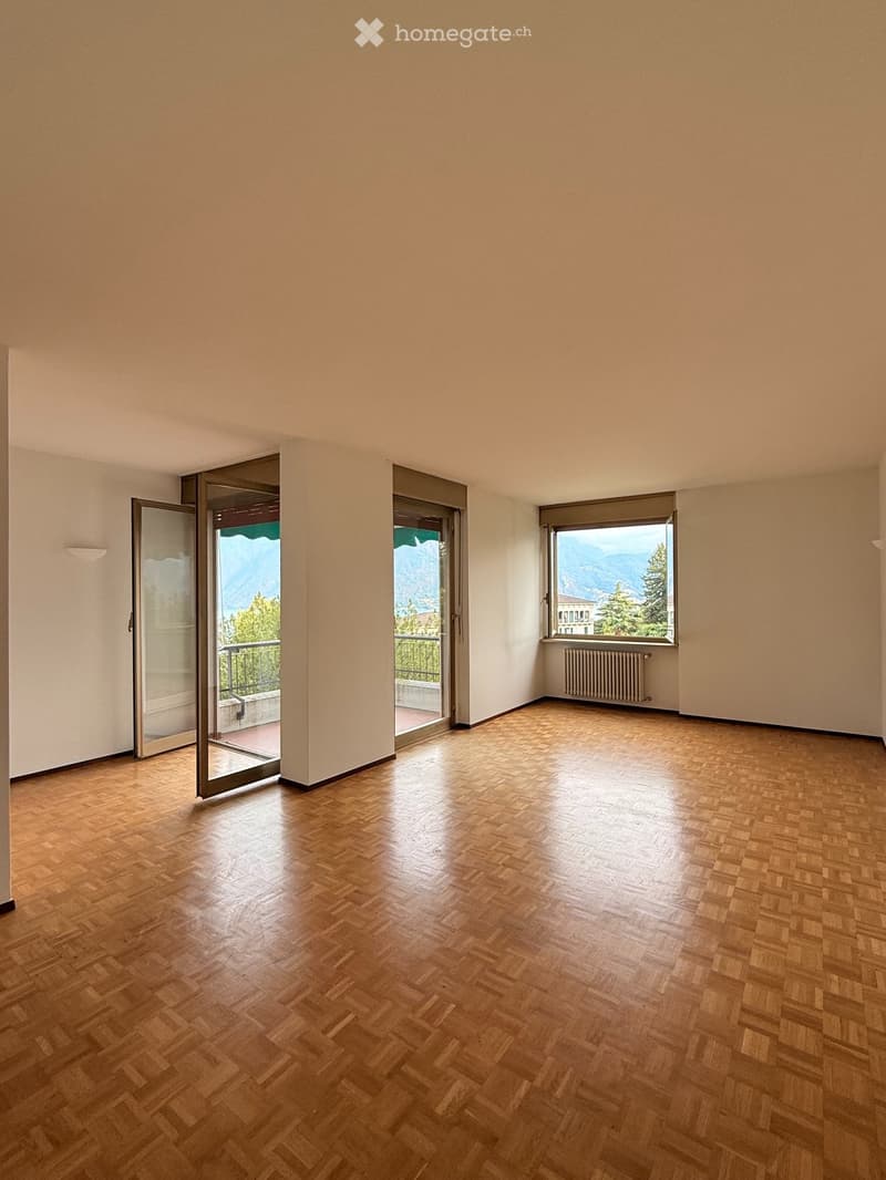 Ampio 2.5 locali con terrazza Vista Lago e Posteggio Incluso (2)