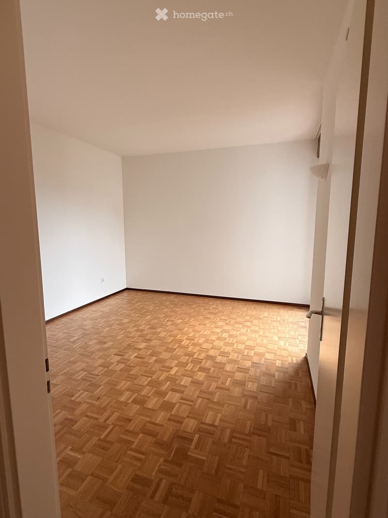 Ampio 2.5 locali con terrazza Vista Lago e Posteggio Incluso (7)