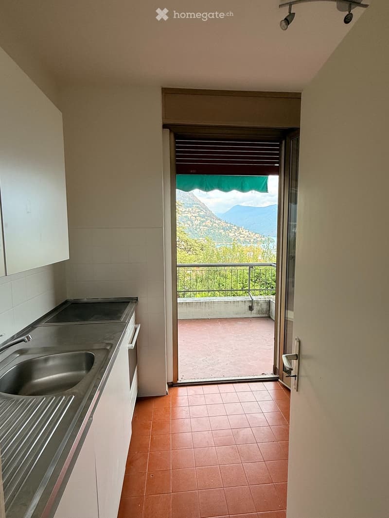 Ampio 2.5 locali con terrazza Vista Lago e Posteggio Incluso (5)