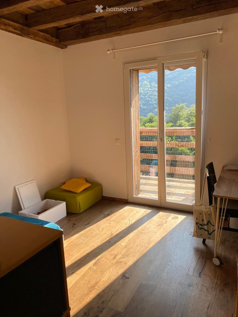 Nachmieter gesucht / Cerca subentrante (4)