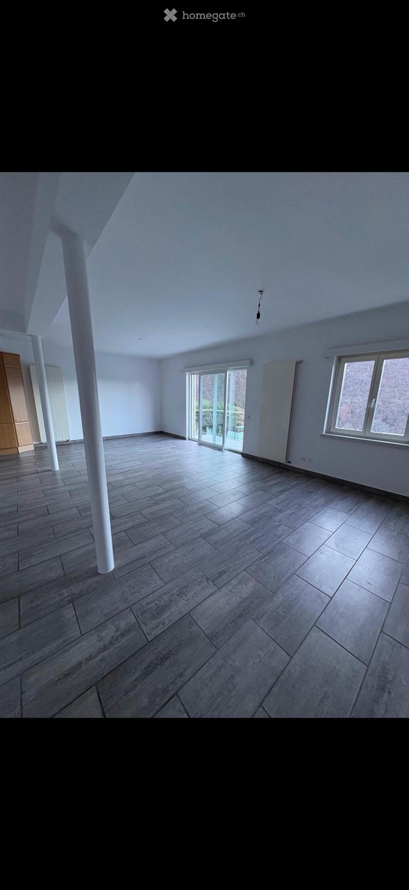 Appartamento duplex 180m2(Giubiasco-Pianezzo) (1)