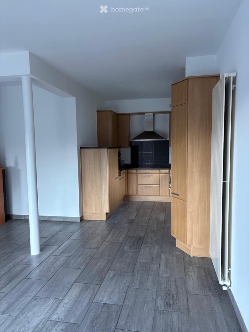 Appartamento duplex 180m2(Giubiasco-Pianezzo) (3)