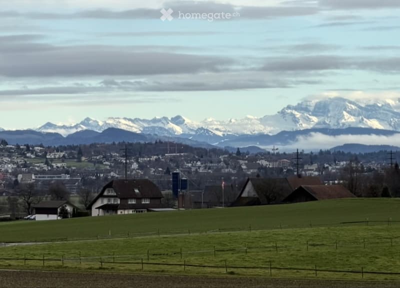 Neubauwohnung mit Ausblick auf die Alpen (5)