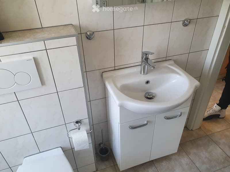 Zu vermieten in Buckten BL ab 1.12.26  renovierte 2  Z. Wg (5)