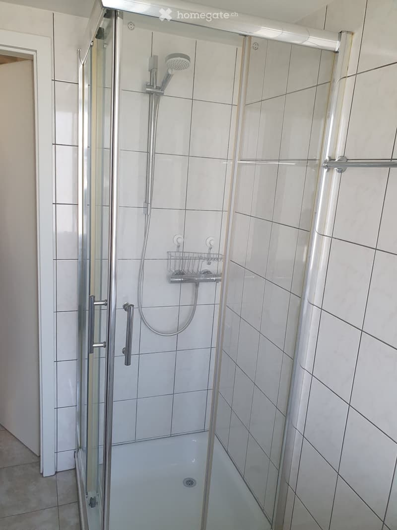 Zu vermieten in Buckten BL ab 1.12.26  renovierte 2  Z. Wg (4)