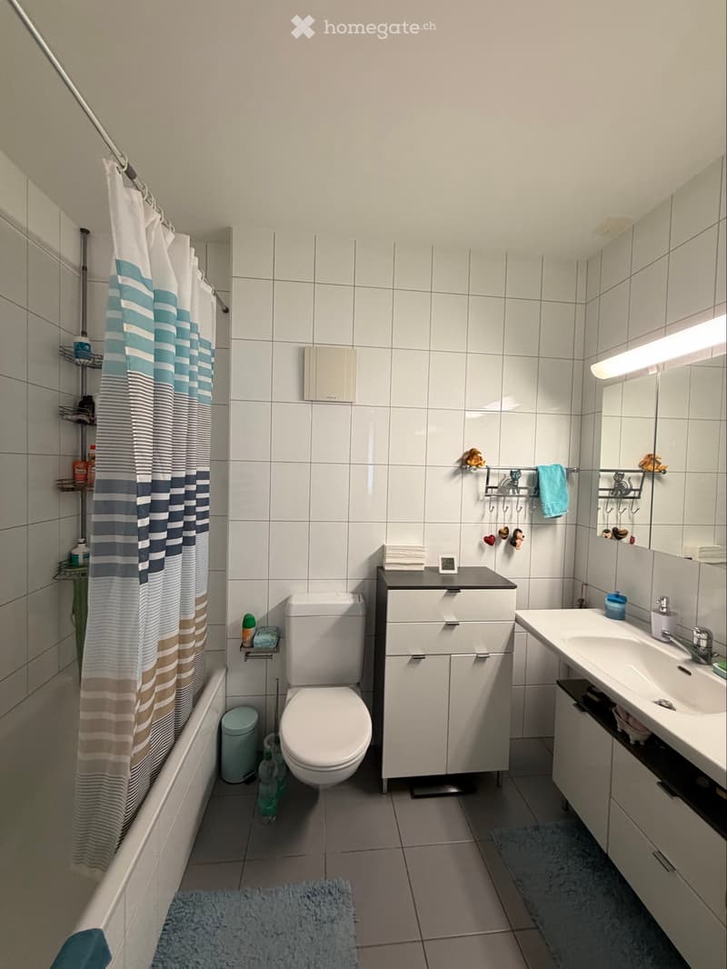 Aarau Wohnung 2.5 zum Mieten (5)