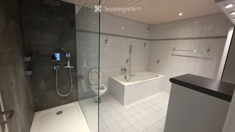 4,5 Zimmereohnung in Sutz zu mieten (3)