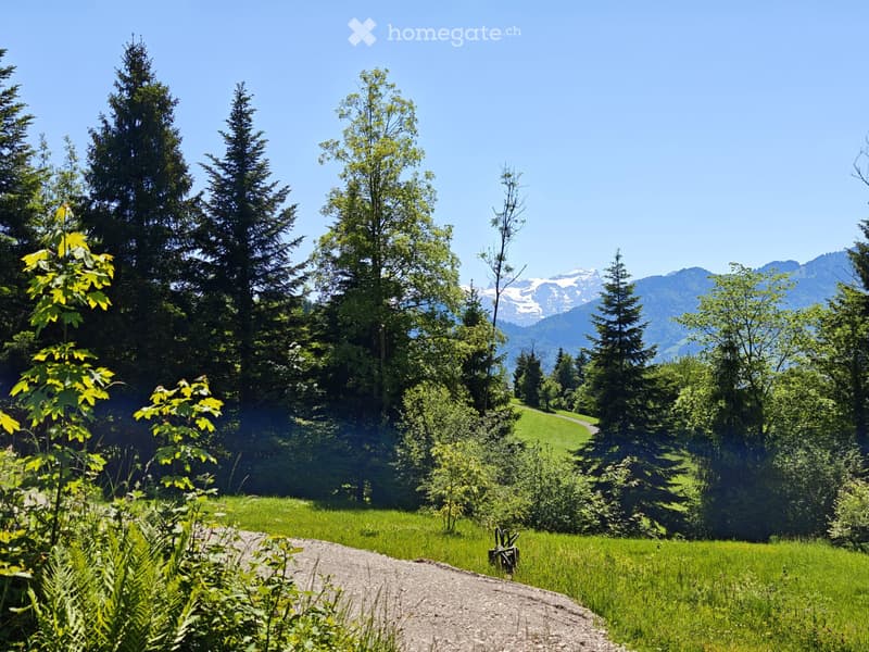 Exklusives 4 1/2 Zimmer Haus am Waldrand mit Alpensicht (2)