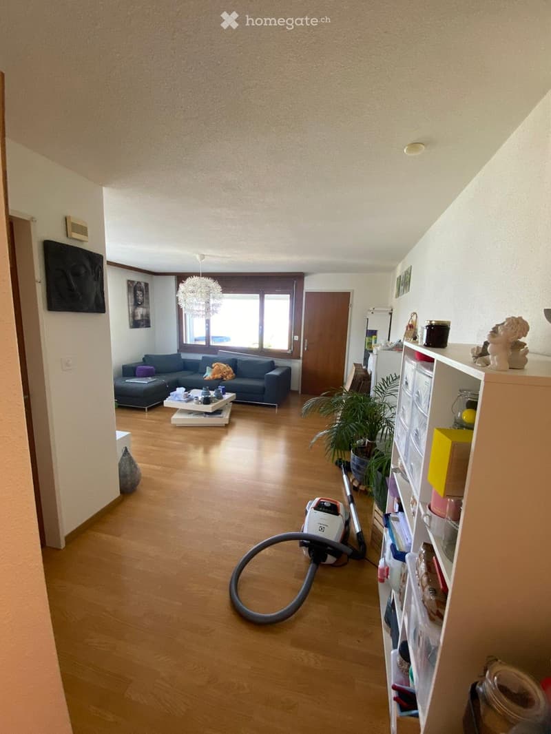 Schöne 2,5-Zimmer-Parterre-Wohnung zu vermieten (3)