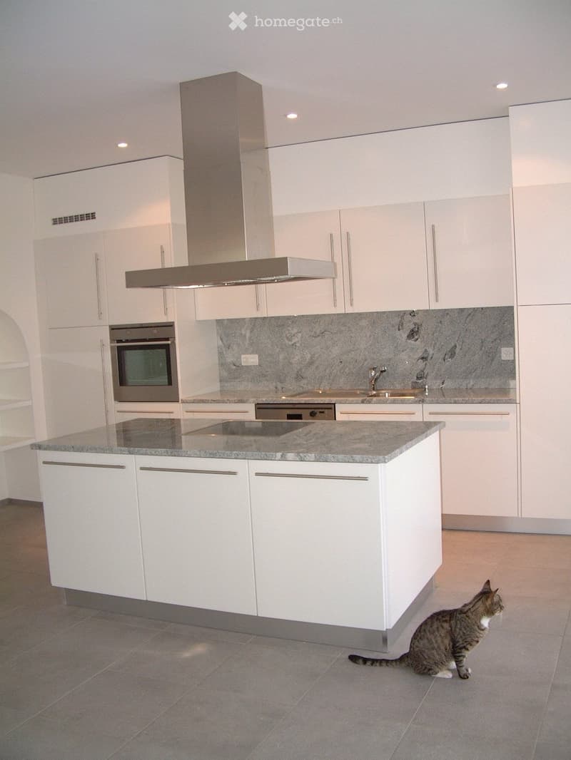 Helle Loft in 2-Familienhaus (2)