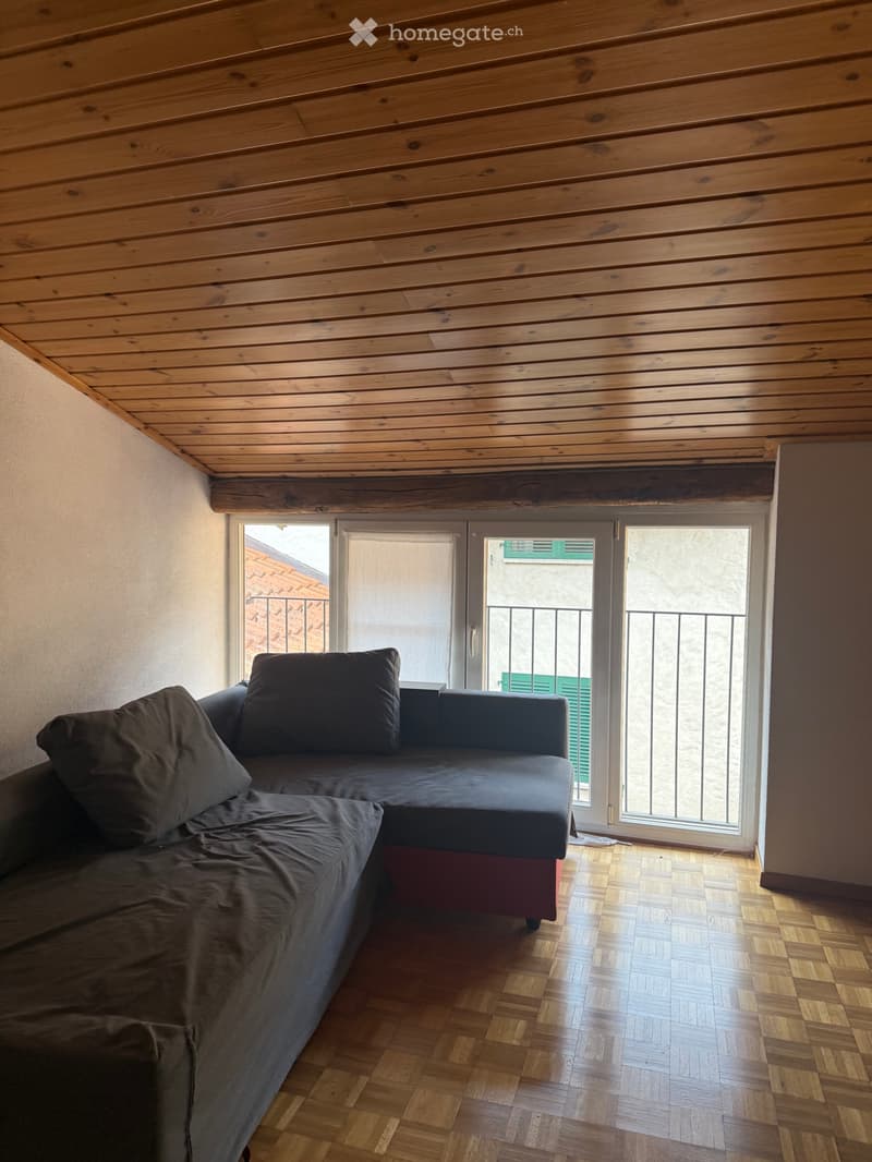Appartamento 2.5 locali (2)