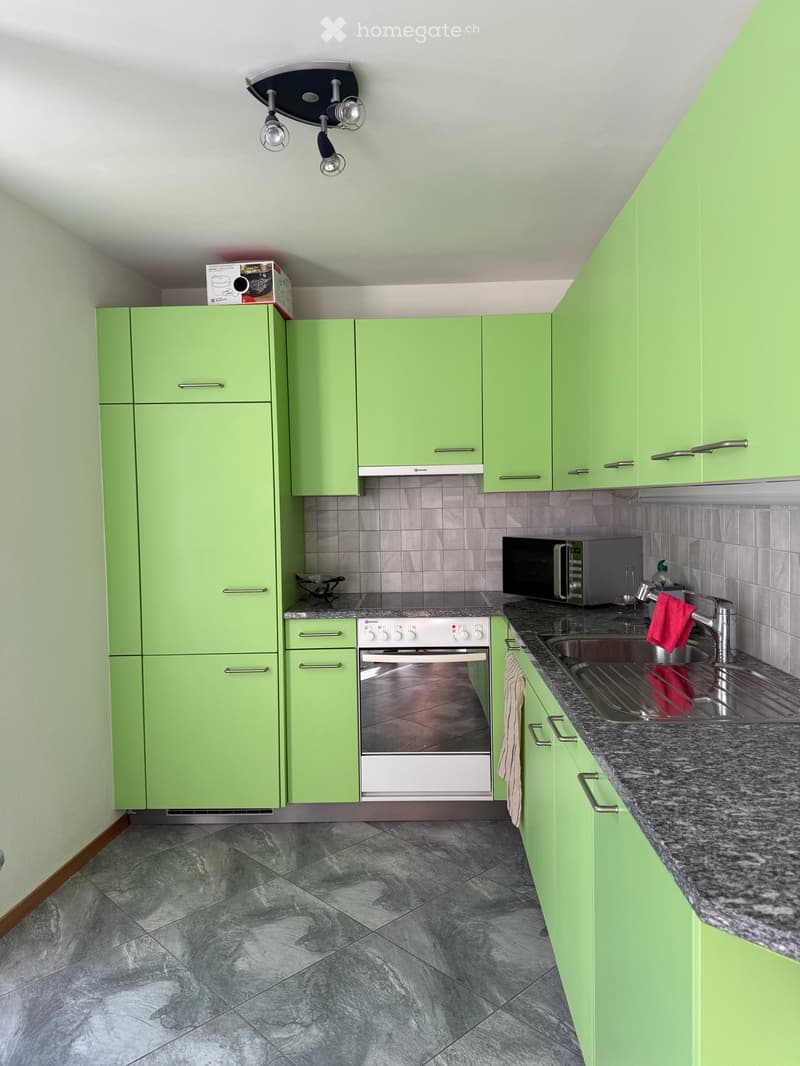 Appartamento 2.5 locali (3)