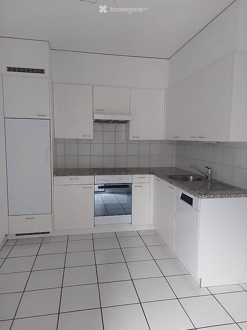 Affittasi appartamento 4.5 loc. - Camorino Via in Cumlina 5 (2)