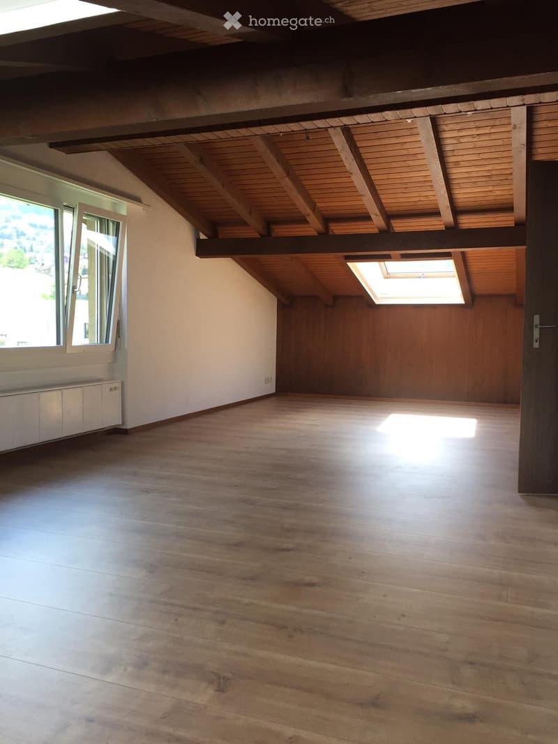 Grosszügige 3.5-Zimmer-Dachwohnung (1)