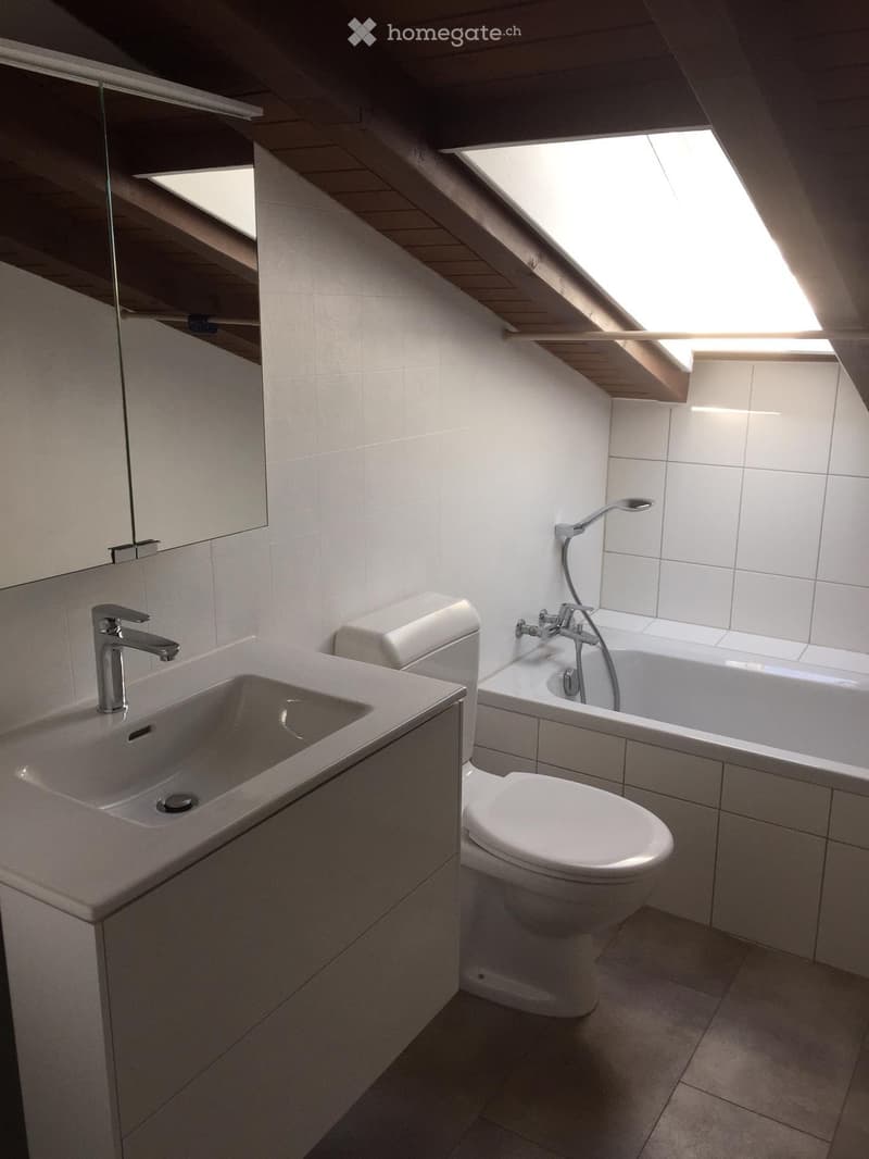 Grosszügige 3.5-Zimmer-Dachwohnung (4)