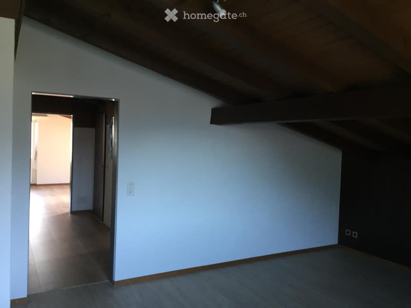 Grosszügige 3.5-Zimmer-Dachwohnung (5)