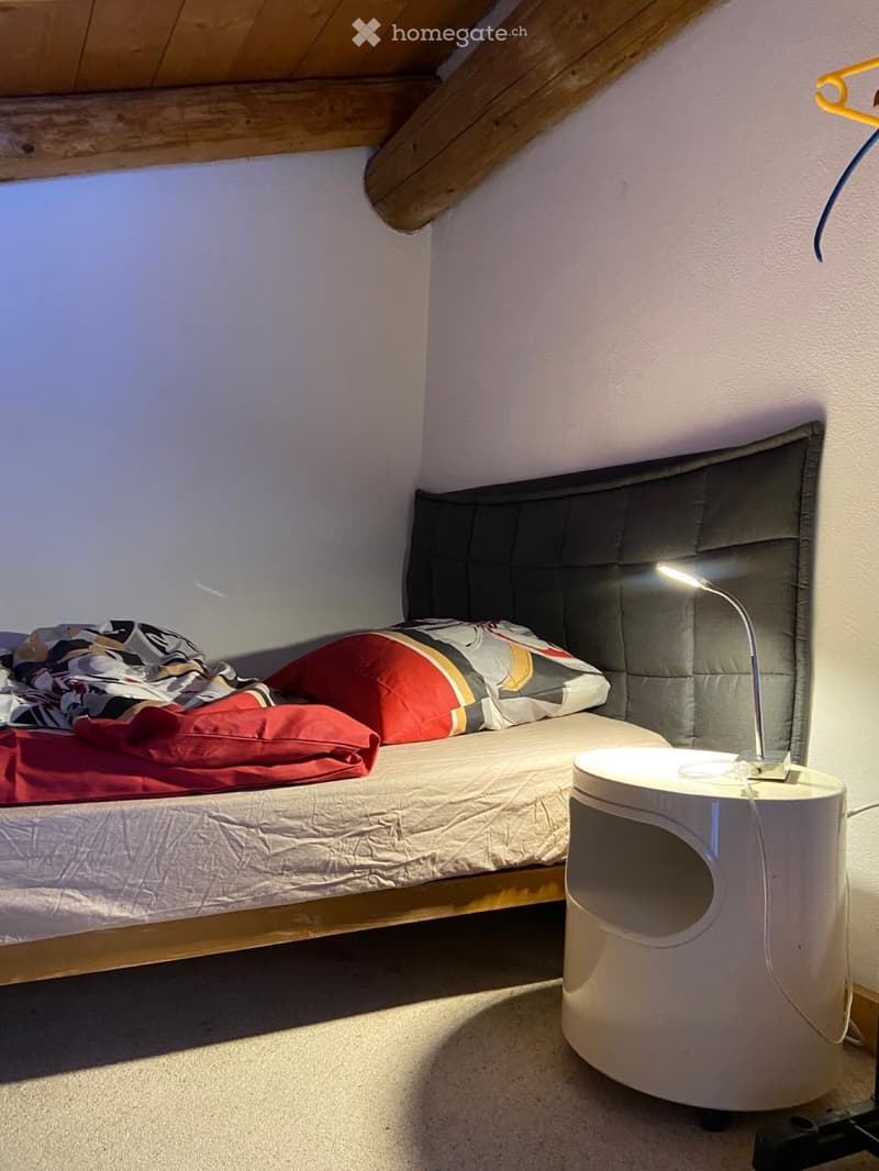 Helle 1-Zimmer-Wohnung mit Schlafgalerie & Balkon möbliert (4)