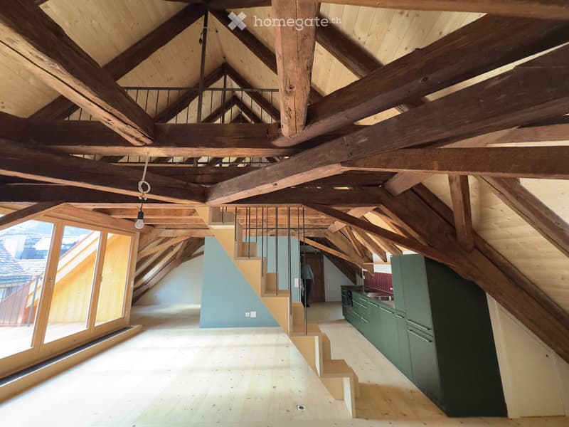 Erstbezug Dachwohnung Loft mit Galerie (2)