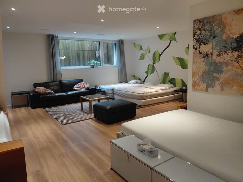 Haus mit Sicht auf Basel - house with view near Basel (5)