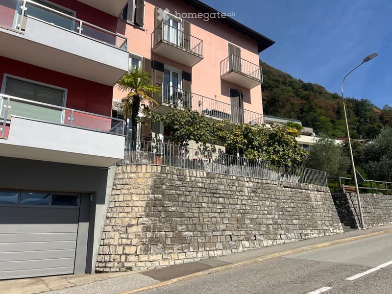 Affittasi grazioso appartamento soleggiato con terrazza (1)