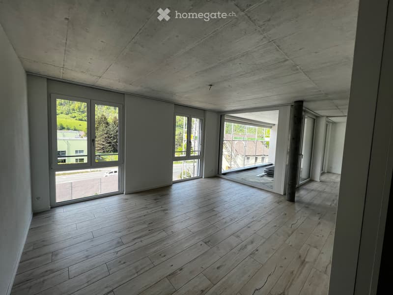 3.5 Zimmerwohnung - Neubau (5)