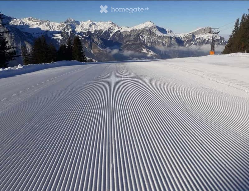Zu vermieten zwei 3.5 Zimmerwohnungen Eggberge, Altdorf, Uri (3)