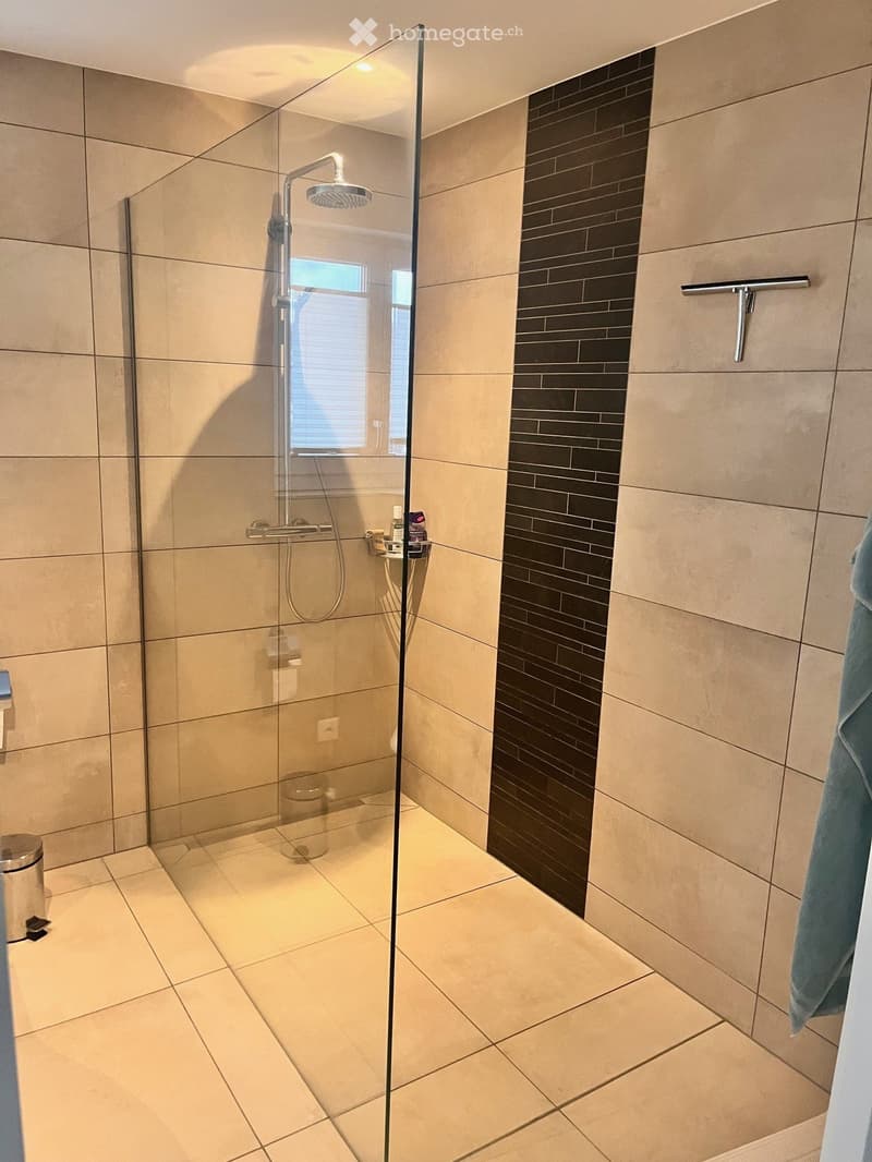 Schöne helle 3.5 Zimmer Wohnung zu vermieten (4)