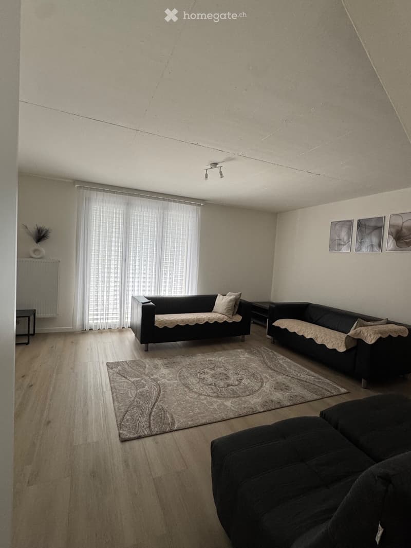 Cerco subentrante subito Appartamento 2 piani Biasca 6710 (1)