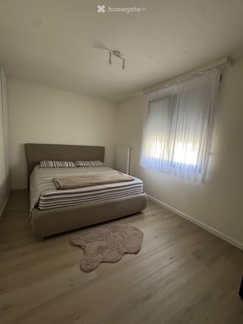 Cerco subentrante subito Appartamento 2 piani Biasca 6710 (5)