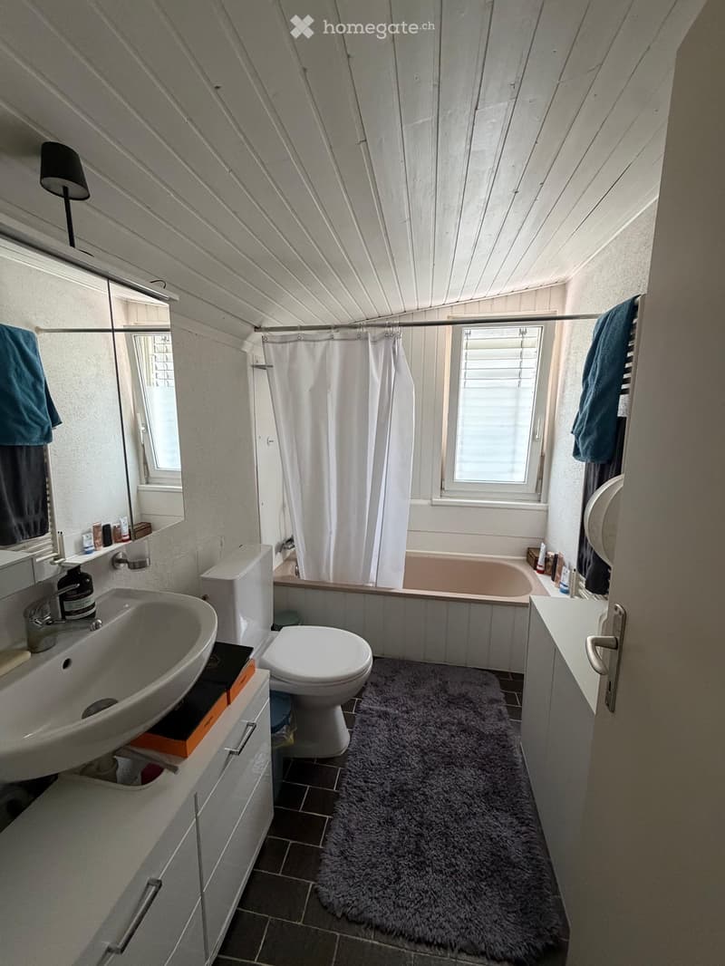 Loft 2-Zimmerwohnung mit eigenem Eingang (4)
