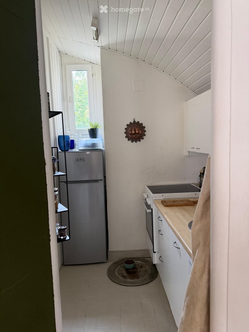 Loft 2-Zimmerwohnung mit eigenem Eingang (3)