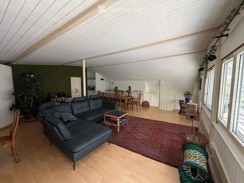 Loft 2-Zimmerwohnung mit eigenem Eingang (1)