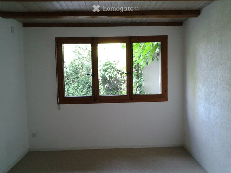 3.5 Zimmer Parterre Wohnung mit Charme (3)