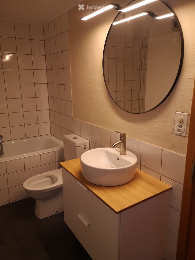 Wohnung / Studio zu vermieten (4)