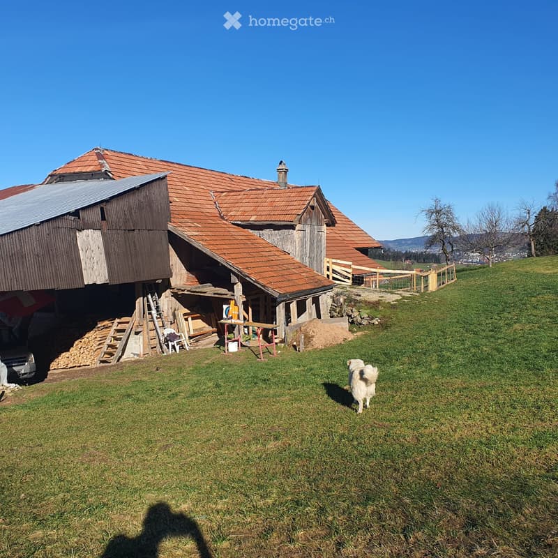 Vermiete 1 oder 2 Zimmer in Bauernhaus (1)