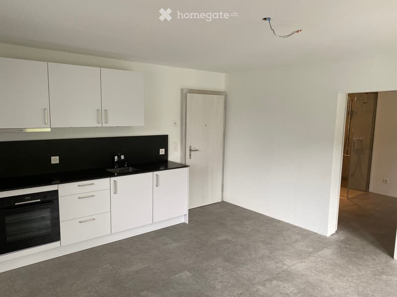 2 Zimmer Wohnung näche ÖV im Grünen (5)