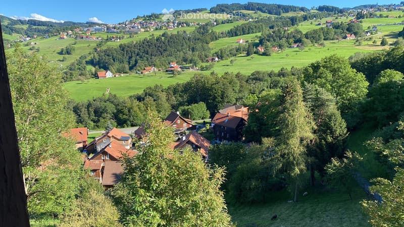 2 Zimmer Wohnung näche ÖV im Grünen (4)