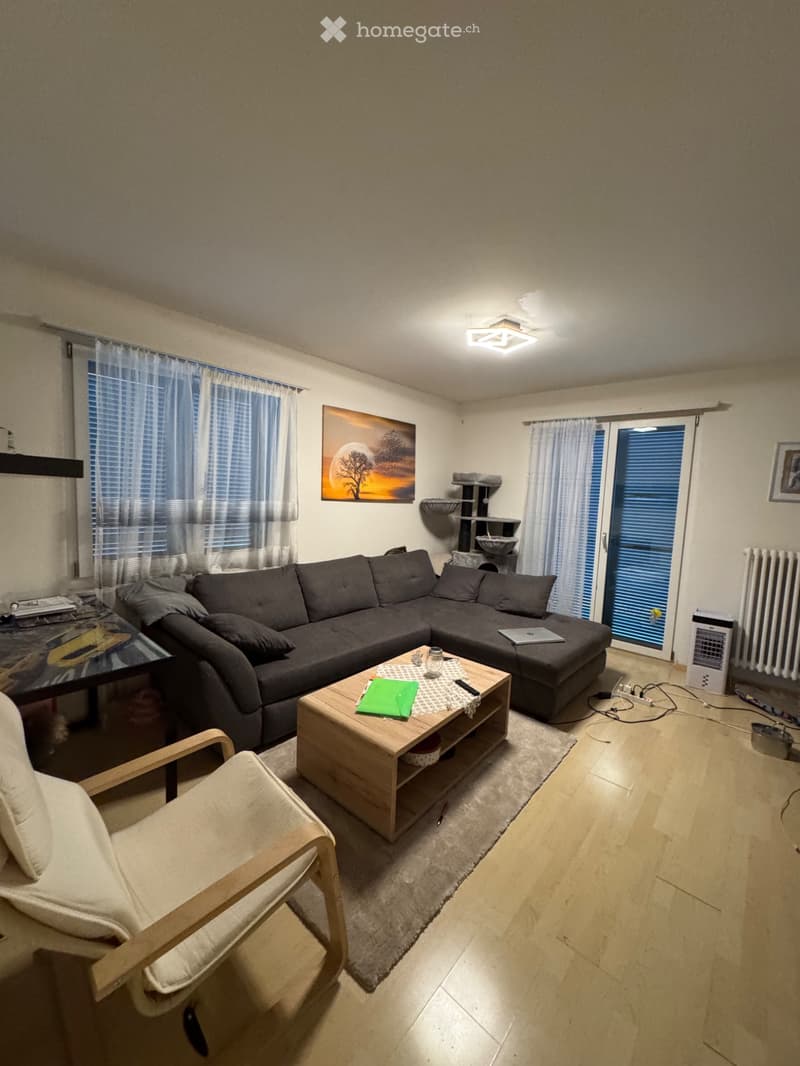 Nachmieter gesucht 3.5 Zimmer Wohnung (1)