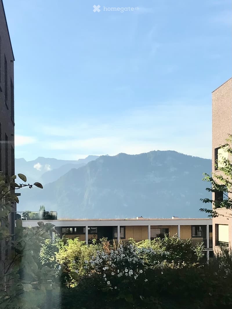 Meggen: Charmante Gartenwohnung sucht Nachmieter (4)