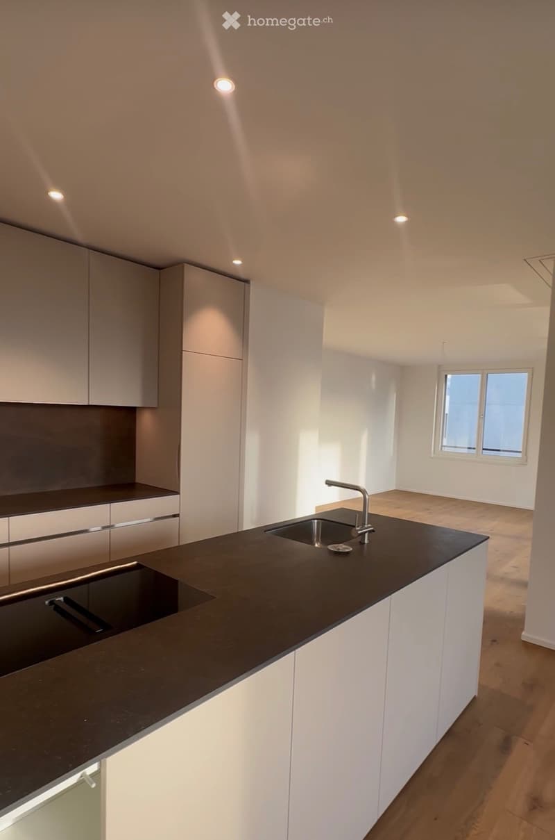 Grosszügige 4½-Zimmer-Wohnung (3)