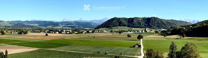 Charmante, möblierte 3.5-Zi Whg 1.OG, Alpenblick in Kehrsatz (5)