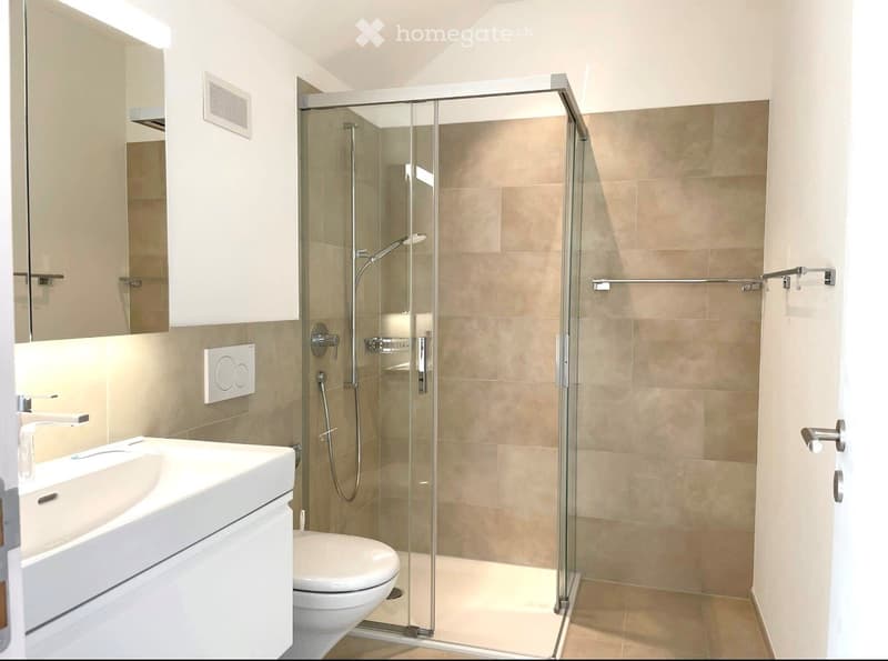 2.5 Zimmer Attikawohnung (3)