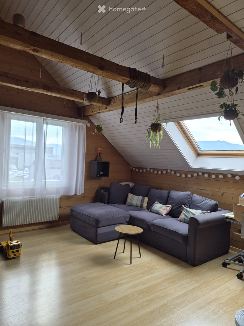 heimelige Altbauwohnung (2)