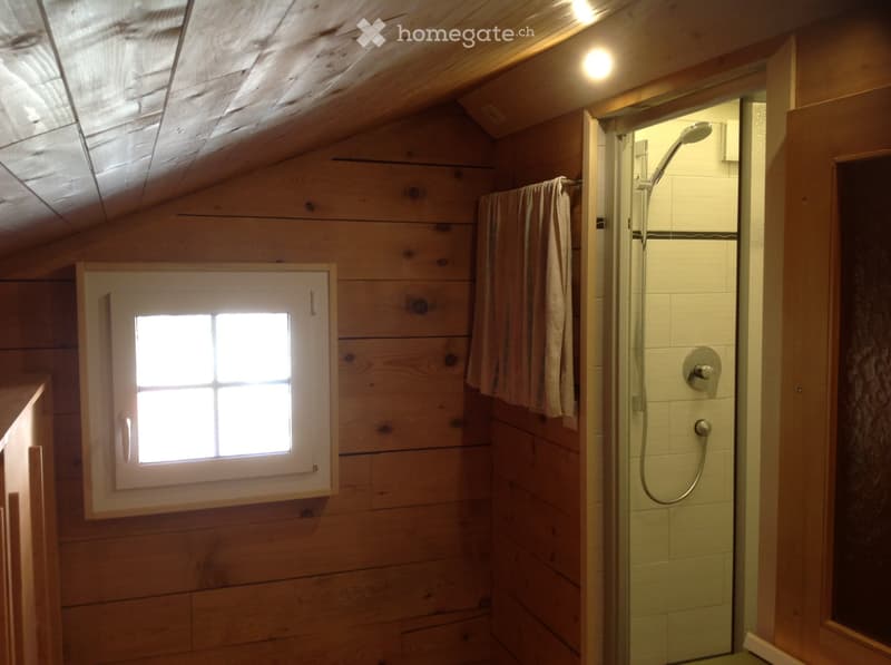 2.5 Zim. Dachwohnung in Disentis (4)
