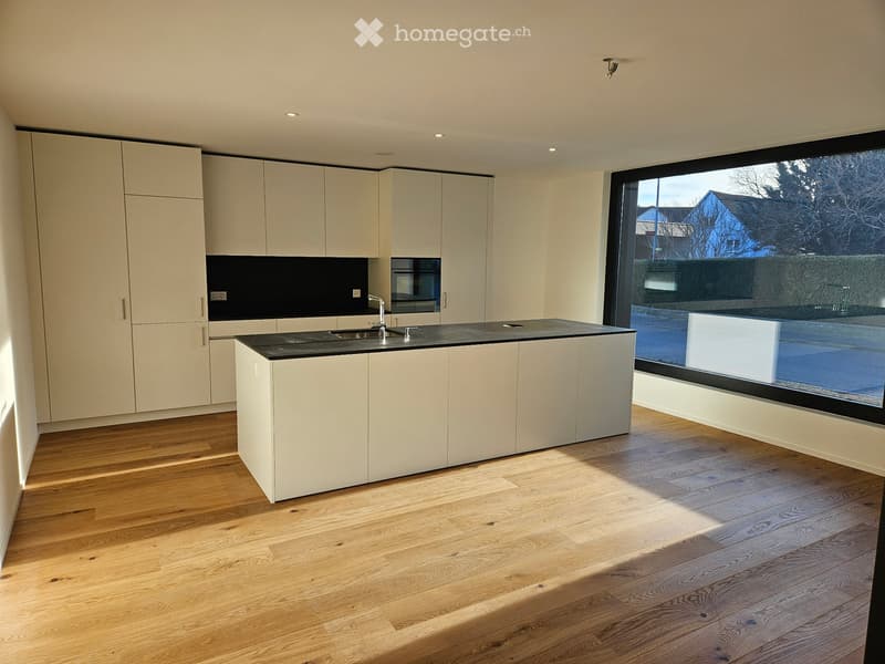 Moderne 4.5-Zimmer-Neubauwohnung mit grosser Loggia-Terasse (1)