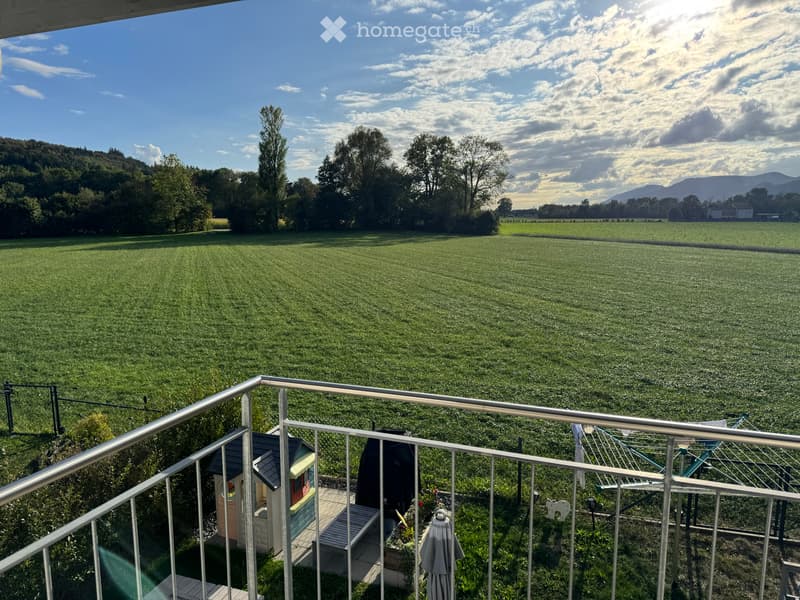 5.5-Zimmer-Haus mit Aussicht & Garten, Wangen b. Olten (5)